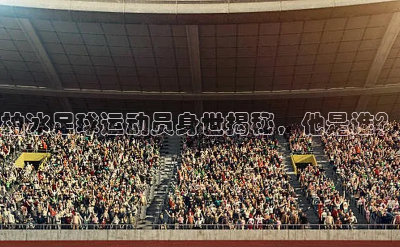 天辰平台app官方下载华扬联众柏冰足球运动员身世揭秘，他是谁？
