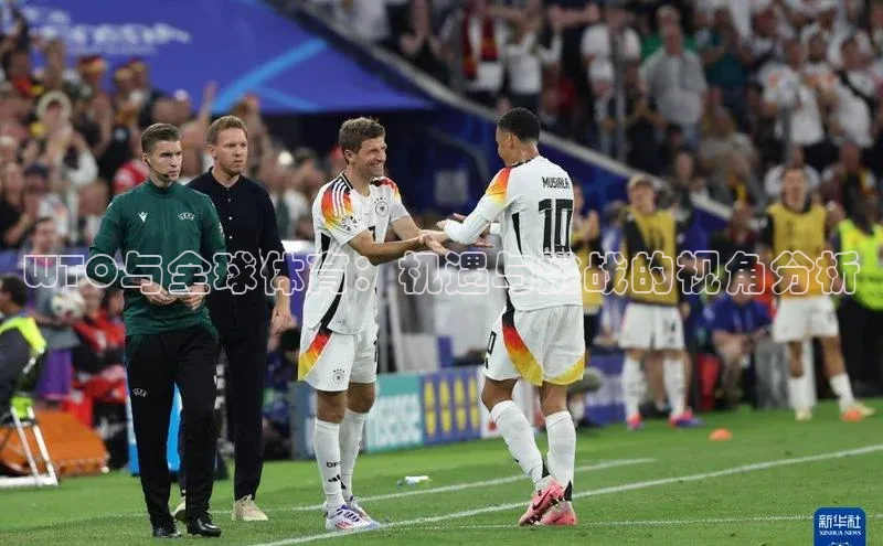 WTO与全球体育：机遇与挑战的视角分析