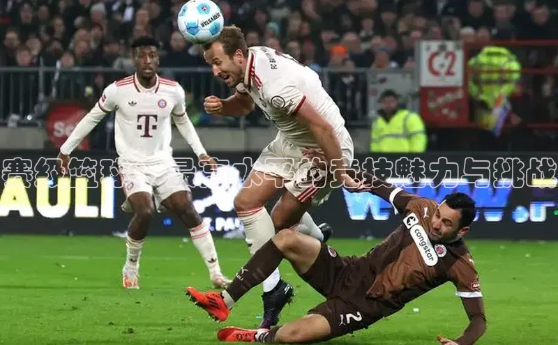 赛级篮球：最高水平的竞技魅力与挑战