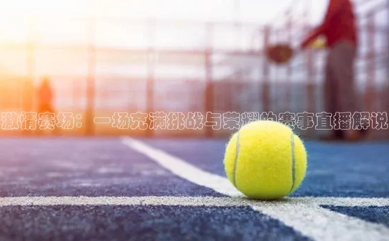 激情赛场：一场充满挑战与荣耀的赛事直播解说
